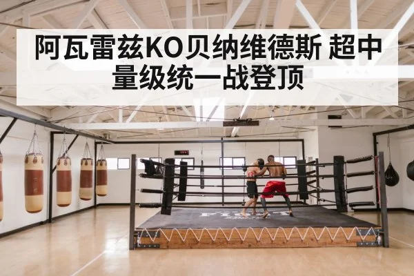 阿瓦雷兹KO贝纳维德斯 超中量级统一战登顶